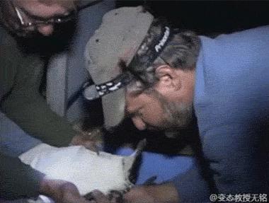 鸟屎为什么是白色的,鸟屎为什么有各种颜色