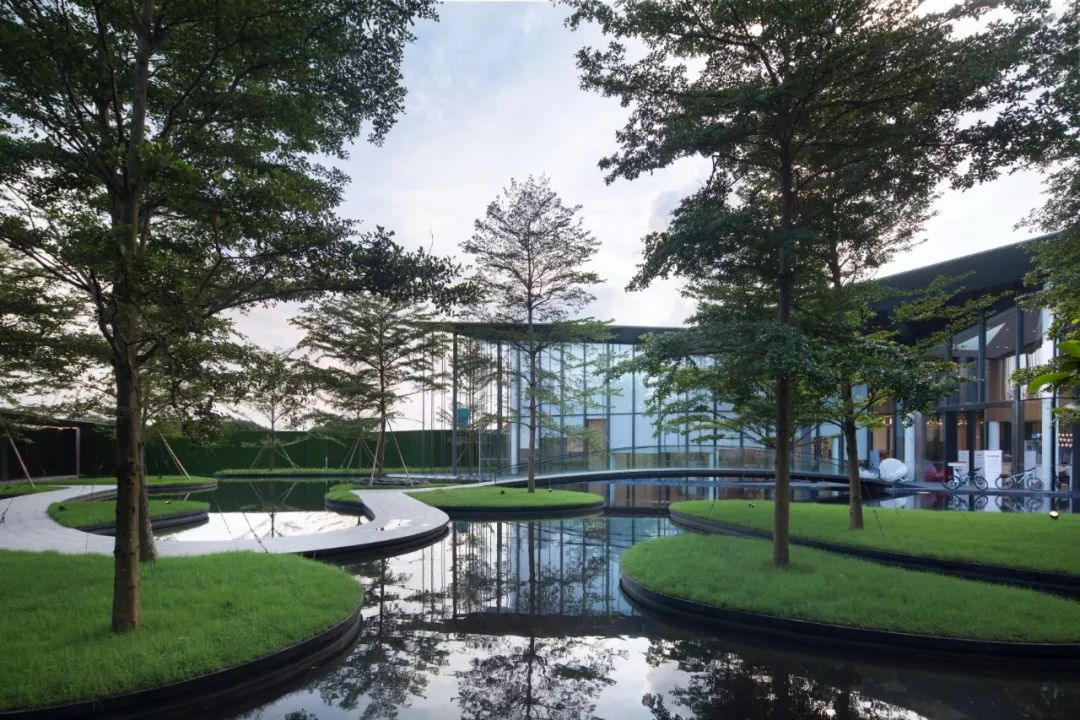 石语慕松林，水苑倾闻荫|广州保利·花城纪