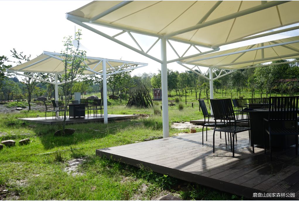 火爆热闹的烧烤,火热地带烧烤