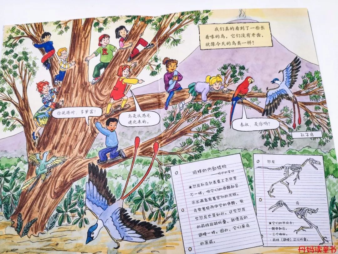 全球销量第一的书,全球十大销量书