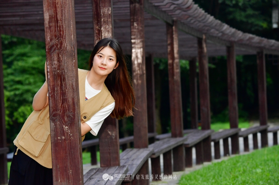 云岭深山自然美景,云岭野山参风景旅游区