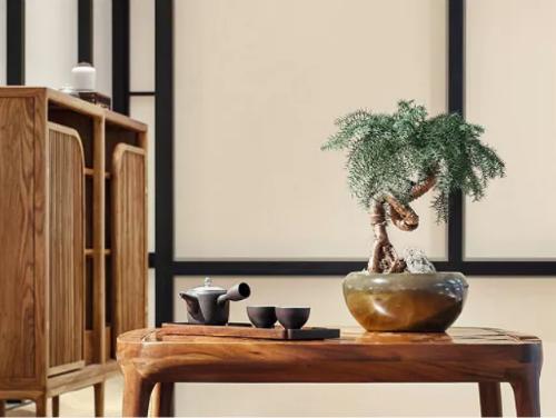 青舍行走|大城隐士张军的「自在」路