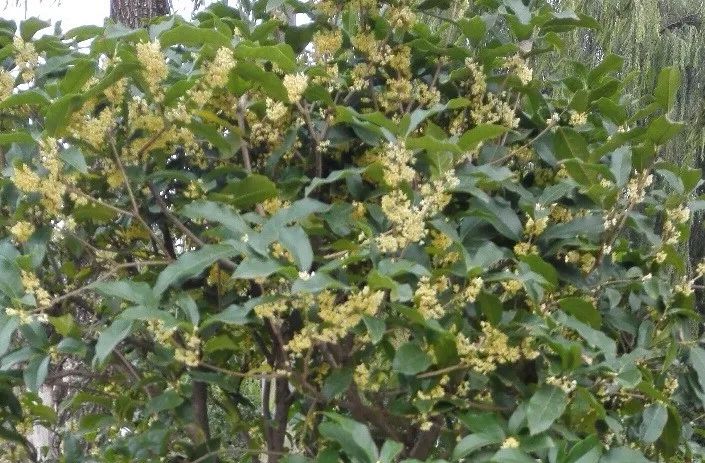 创业者如何融资投资,创业者如何找项目投资