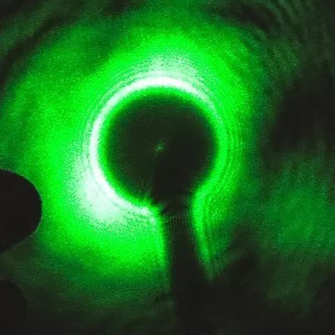 眼睛会发光的小虫,眼睛里有小虫子爬的感觉是咋回事