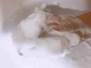 芙丽芳丝洗面奶69元是真的,芙丽芳丝洗面奶100毫升30元