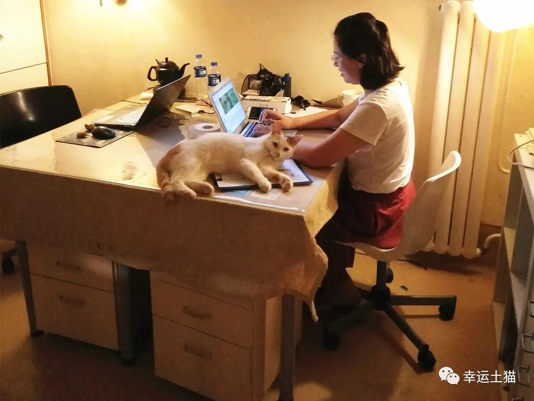 骞歌繍鍦熺尗,骞歌繍鍦熺尗涔夊崠灏忛摵