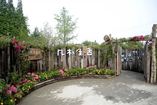 崇州自然赏花美景,崇州青山绿水