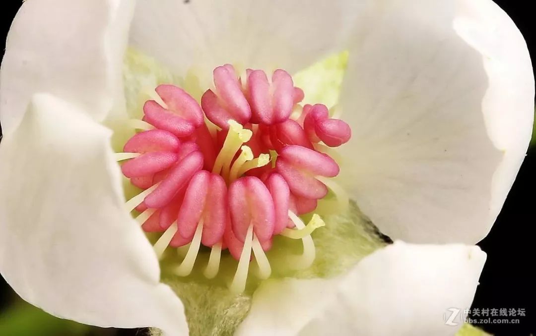 九大癌症可治愈宫颈癌,普及癌症防治8个核心知识要点