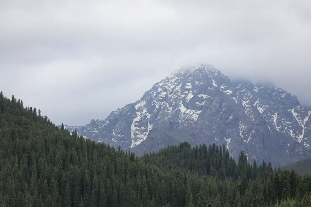 新疆达人西游,达人西游新疆