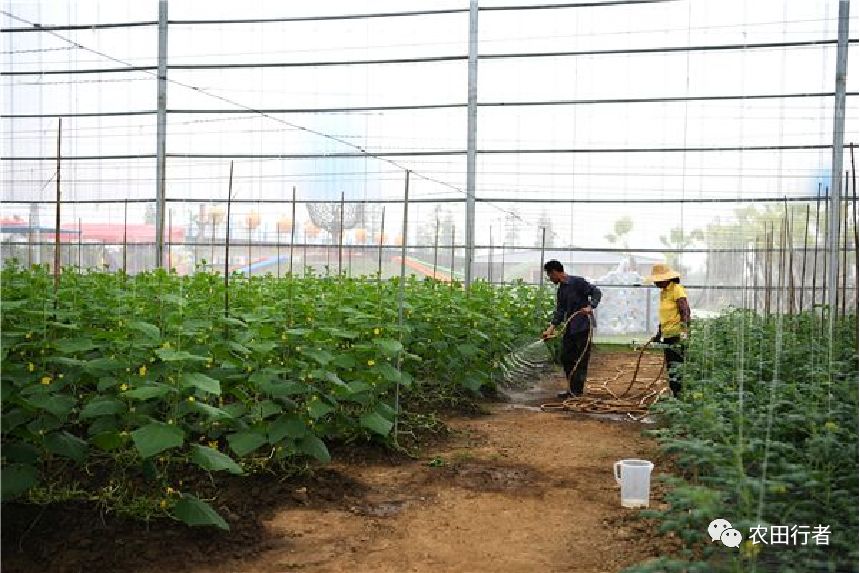 液体肥好还是普通肥好,液体肥料检测
