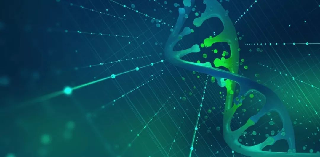 进行性肌营养不良基因改造,杜氏肌营养不良基因疗法最新进展