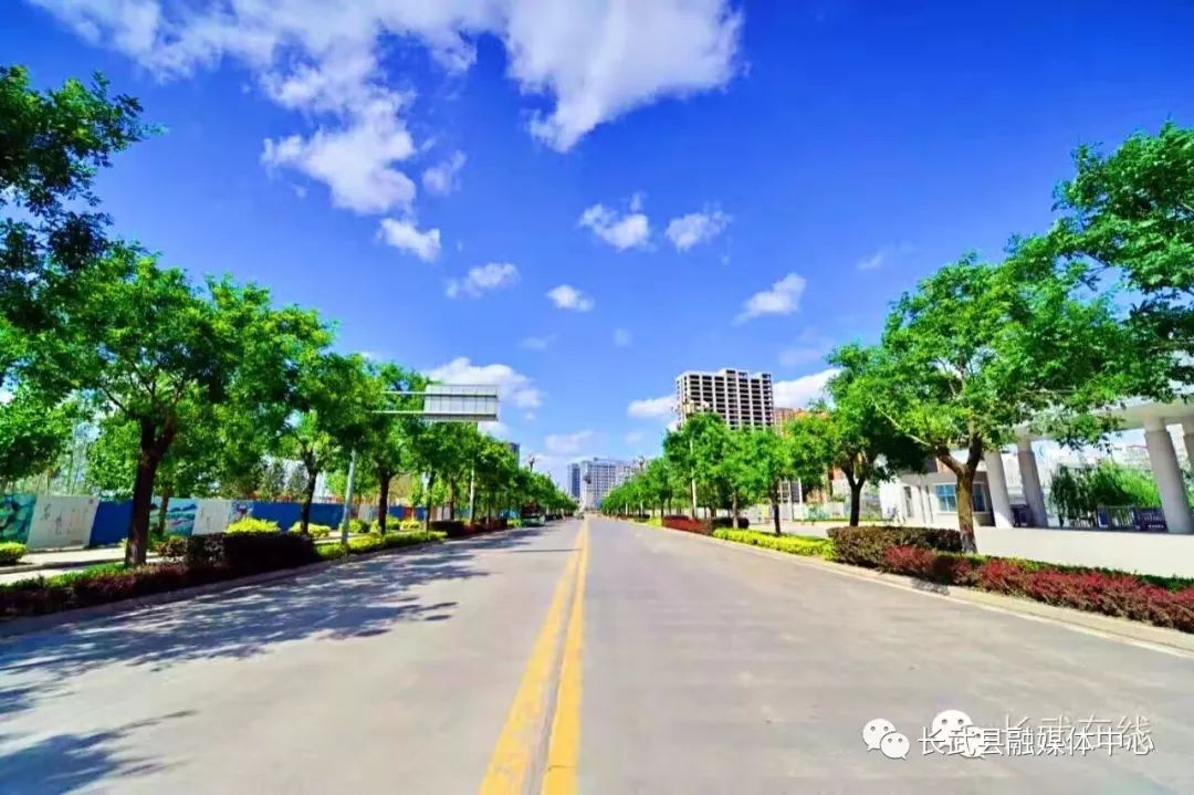 长武避暑胜地,长武青龙山避暑