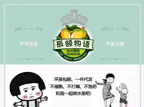 辰颐物语水果代理赚钱吗,辰颐物语代理怎么开网店