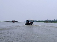 微山湖观荷花,青荷盖绿水微山湖十万亩荷花盛放