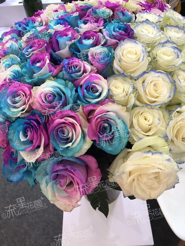 流星花园花店加盟费多少钱,流星花园鲜花店加盟