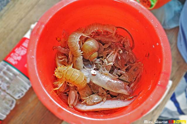 在礐石居然有这么一个世外桃源,日照有哪些海滩可以免费赶海