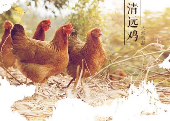 广东最没存在感的城市前十,广东最没存在感的城市排行榜