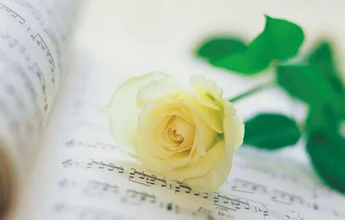 淘书省钱,怎样淘到好看的书