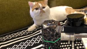 女星秒变“网瘾少女”，3C病“瘾”斑出击，失去远比看到得多