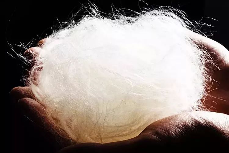 最可以让脚变臭的袜子,有哪些好用不会脚臭的袜子