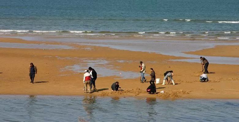 秦皇岛赶海哪里有螃蟹,秦皇岛蟹贝湾赶海