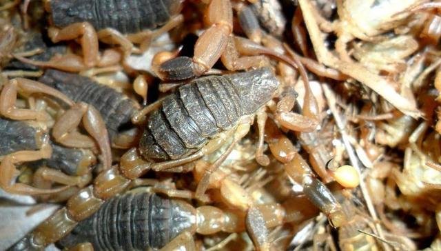 24小时吃遍临沂攻略,12小时吃遍临沂