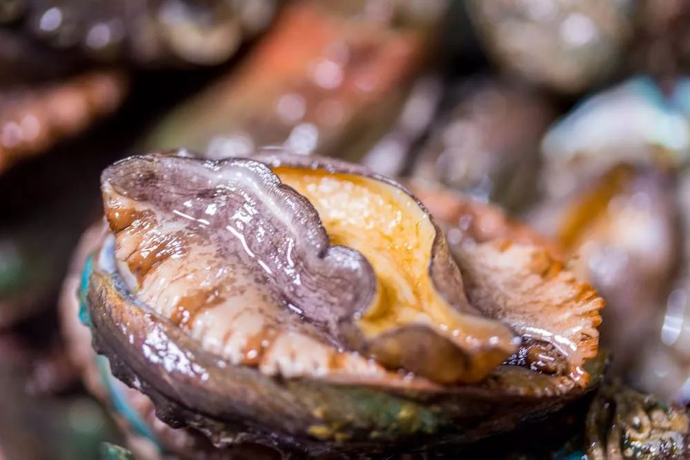 1元/只海白虾,2.8元/只鲍鱼,3.8元/只碳烤生蚝!啤酒喝一瓶还送一瓶!这家人气平价海鲜火锅老店让你嗨翻整个今夏