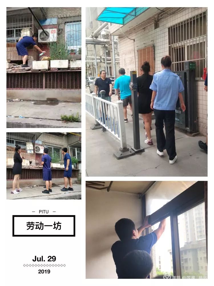 马蜂出没请注意切勿擅自处理,大马蜂窝上面有马蜂怎样处理