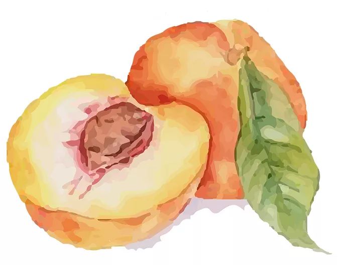 保护血管？桃子的9大功效你一定要知道