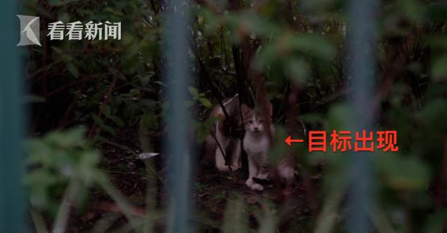 年薪40万拿快递,年薪百万快递员