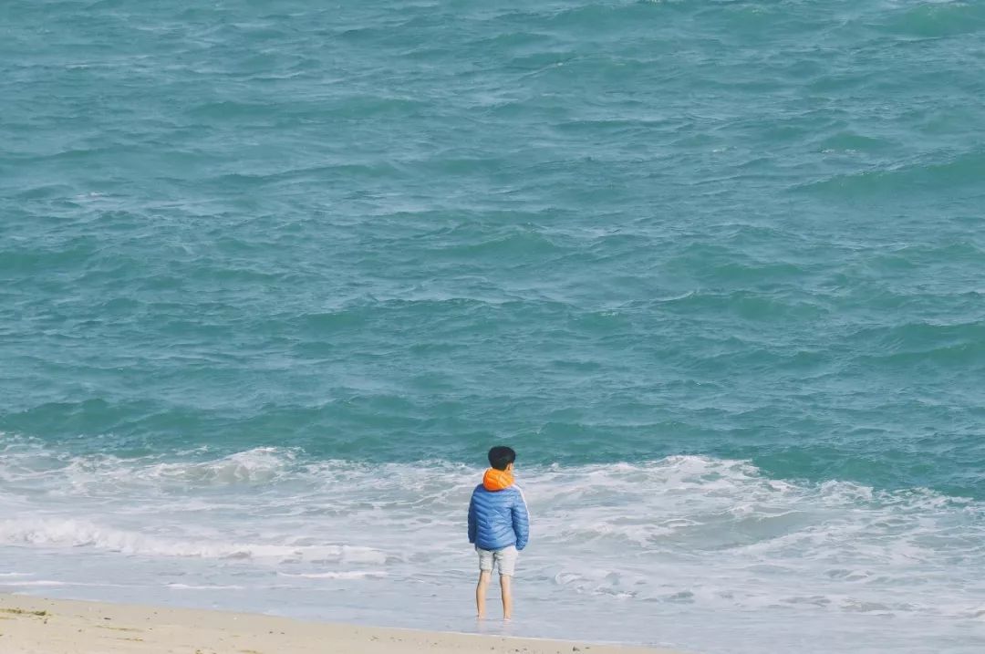 拔草厦门,厦门帆船酒店观景