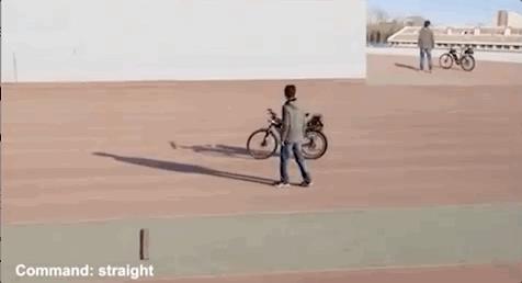 清华大学的这辆自行车“成精”了！“天机”在全球顶尖期刊“泄露”