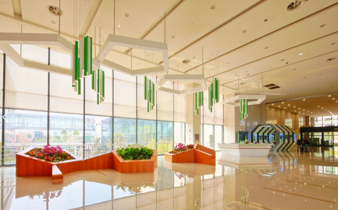 质子医院招聘信息,徐州质子重离子医院什么时候招聘