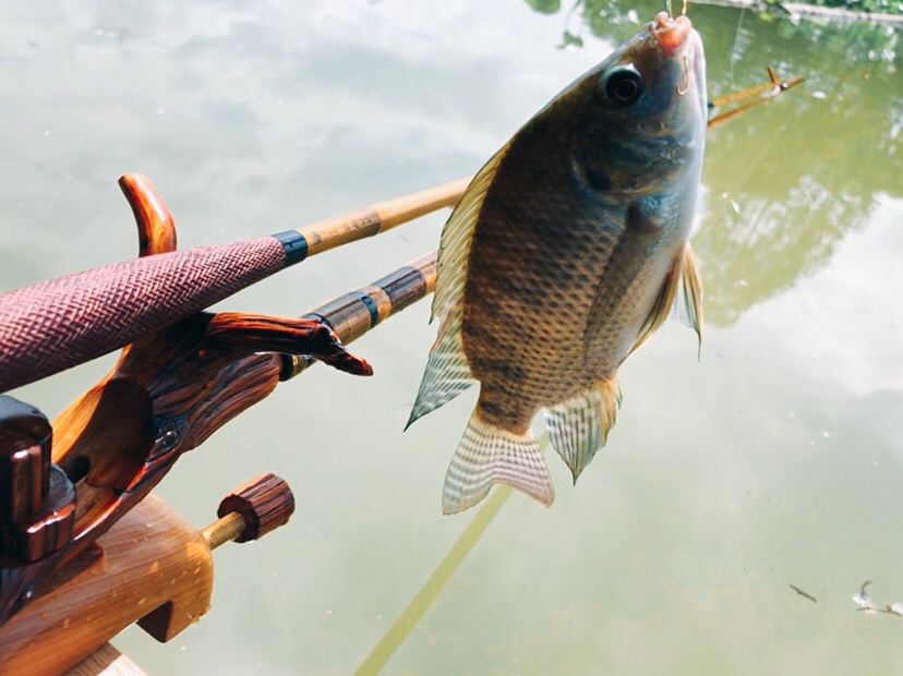钓鱼装备全套小型鱼竿推荐,私人订制鱼竿路亚