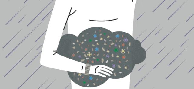 akk益生菌有什么功效,万能益生菌效果怎么样