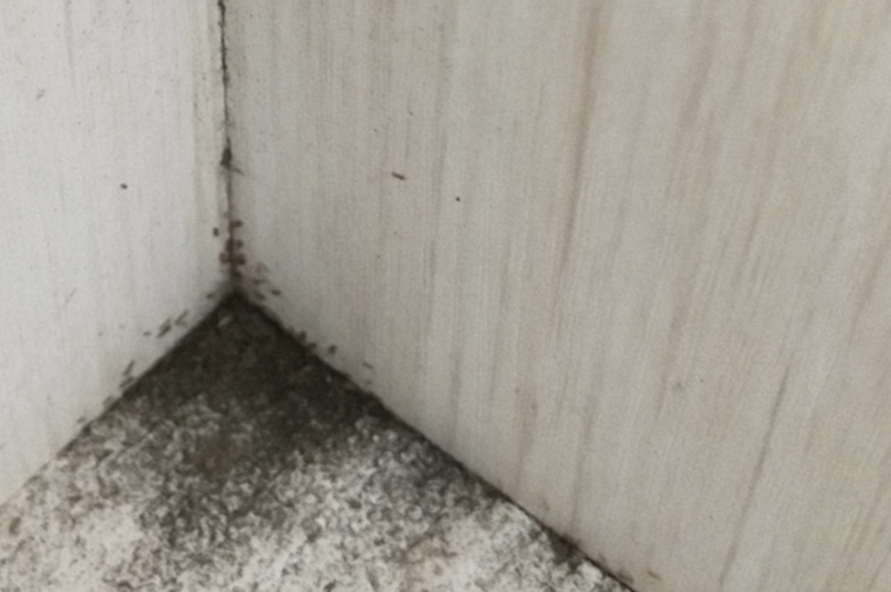 木地板被泡怎么理赔,实木地板被水泡了赔偿问题