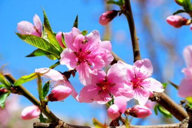 月经期间痛经腰痛头痛腹泻,经期前后头痛口腔溃疡