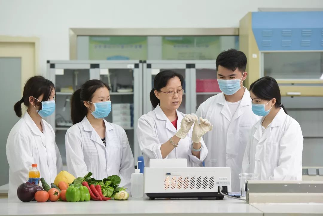 海南城市职业技术学院招生简章,2024海南职业技术学院招生简章