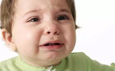 风很大美赞臣,风很大的国产奶粉