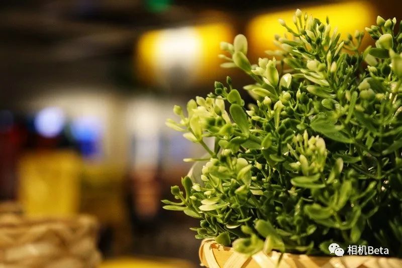 佳能EOS200DII值得入手吗,佳能eos200dii