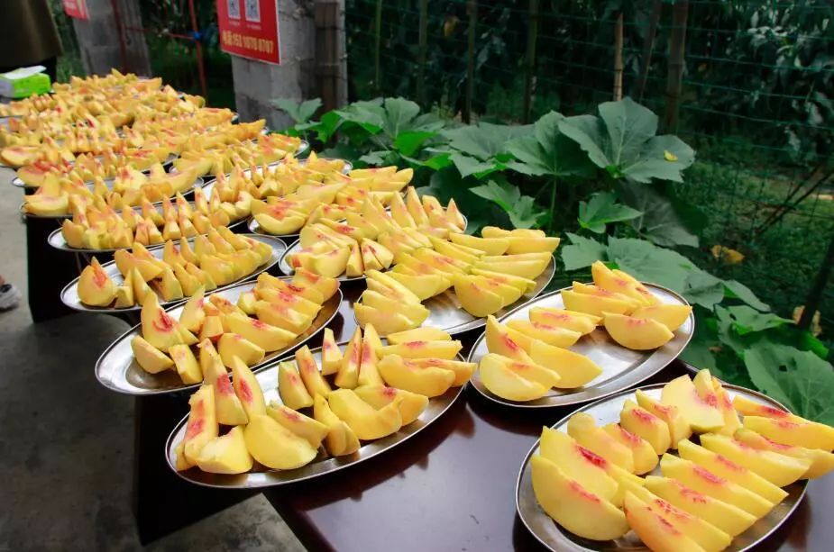 购购购！今天这里超热闹