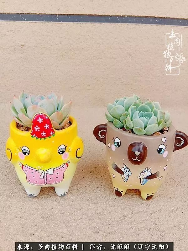 心若向阳无惧晴天,心若向阳不畏风雨