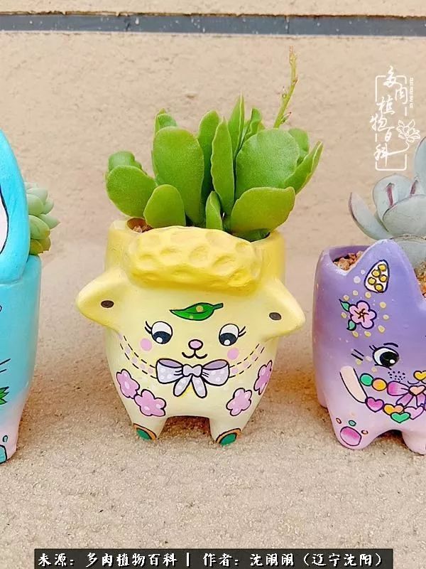 心若向阳无惧晴天,心若向阳不畏风雨