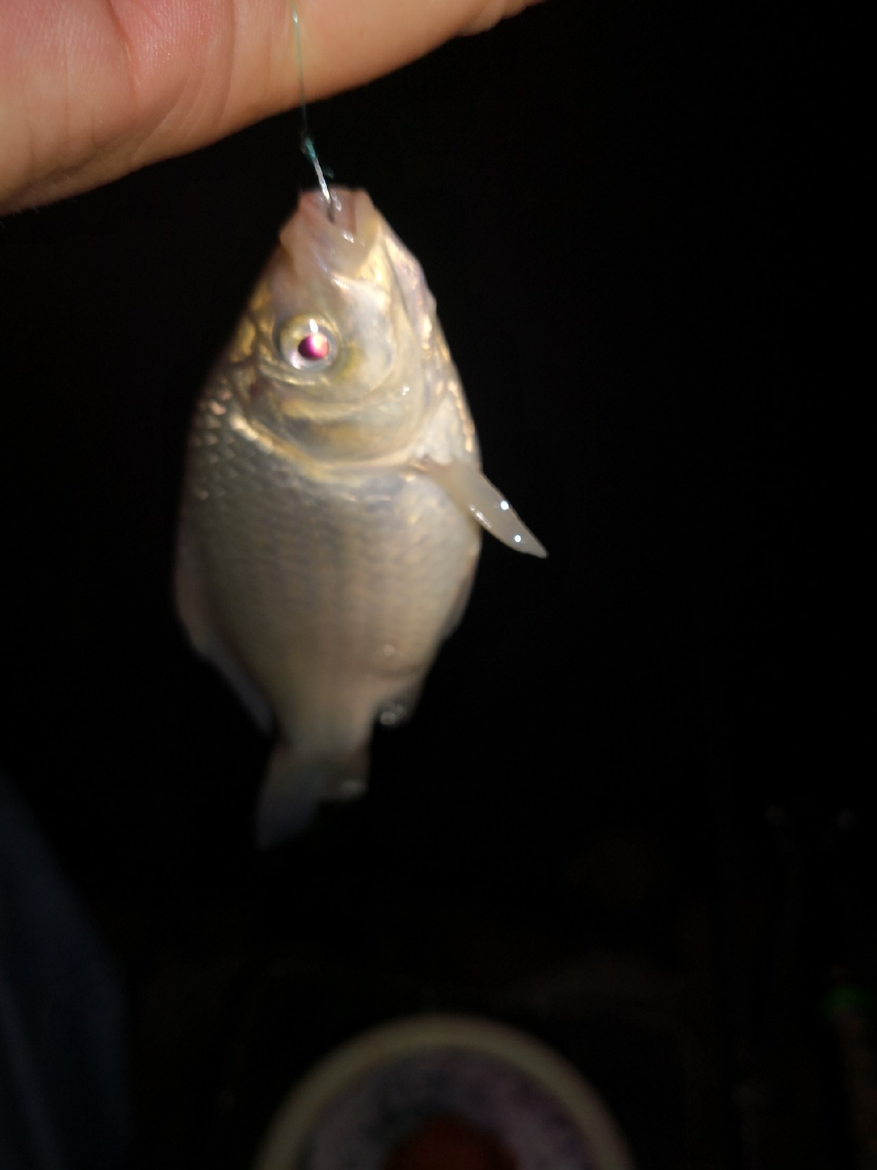 夜钓约会,夜钓男人的浪漫