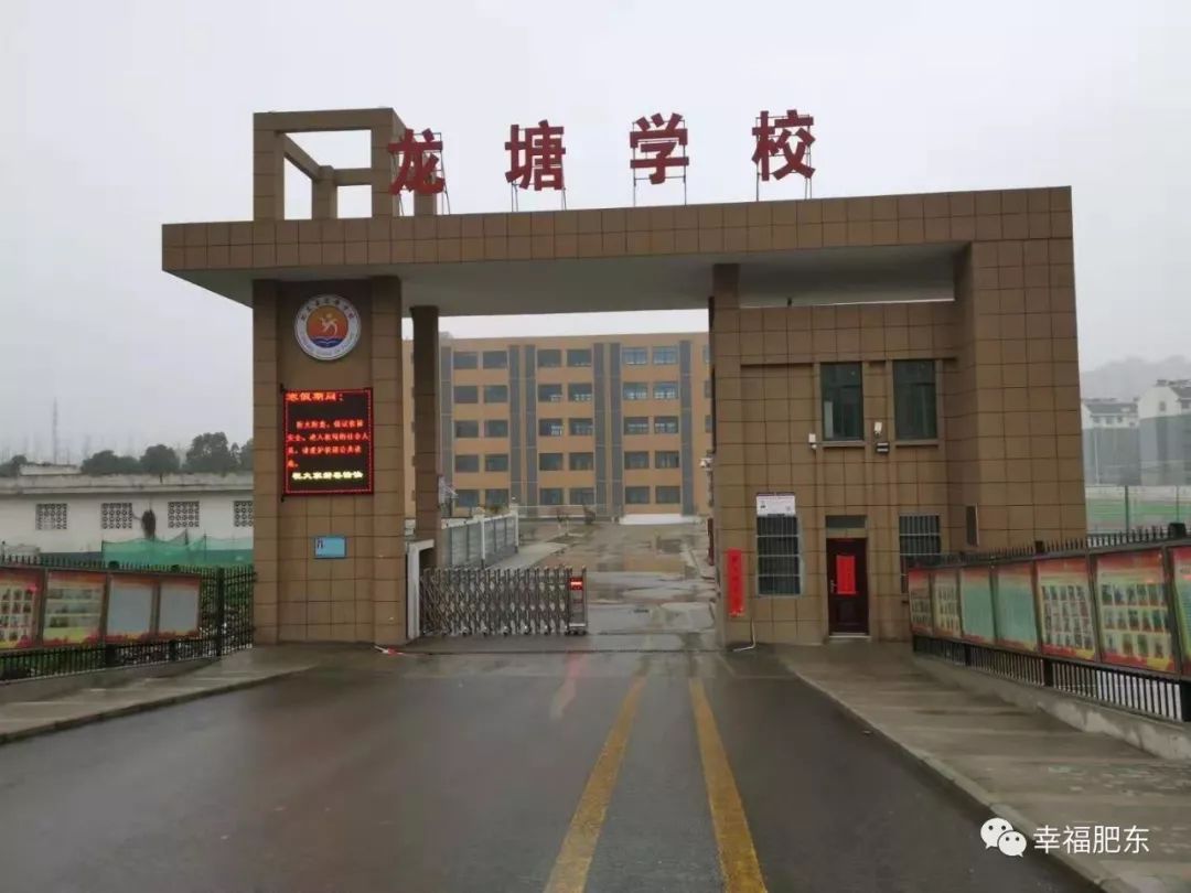 超赞！咱肥东这所学校登上“学习强国”！原因是……