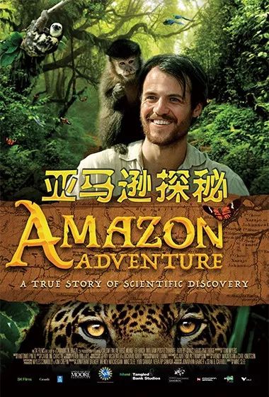 暑期观影季,暑期观影嗨翻天