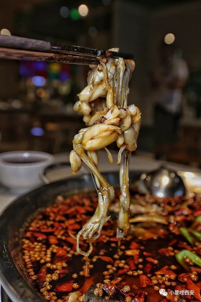 附近美蛙鱼头的正宗做法,最地道美蛙鱼头