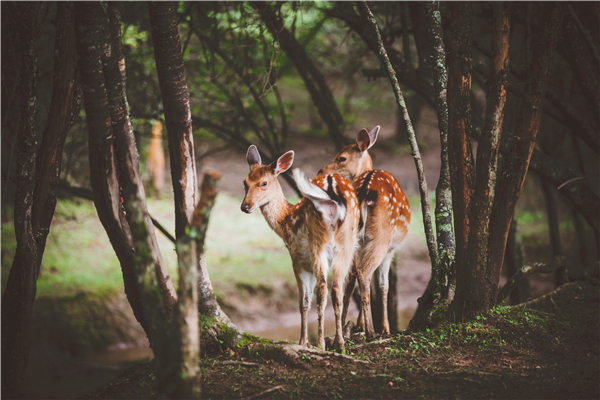 跟着镜头欣赏不一样的风景,跟着镜头领略震撼心灵的景色