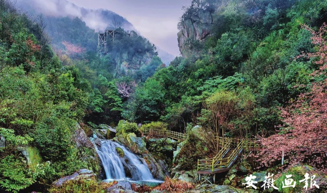 风华正安徽|金寨:我的名字叫红