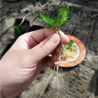 你不知道的印度孟买,你不知道的马来西亚吉隆坡